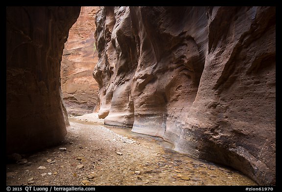 Sculpted walls, Orderville Narrows. Zion National Park (color)