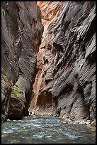 Hikers silhouettes, Virgin River Narrows. Zion National Park ( color)