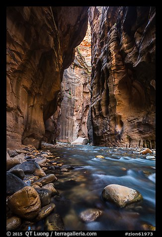 Virgin River flowing between soaring walls, the Narrows. Zion National Park (color)