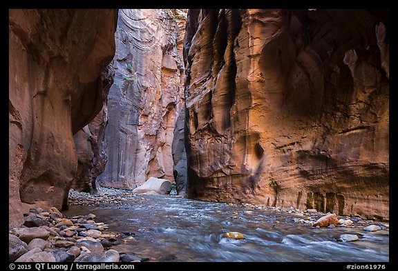 Virgin River between steep and tall walls of the Narrows. Zion National Park (color)