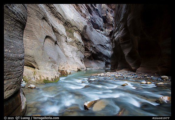 Virgin River flows over boulders under soaring walls of the Narrows. Zion National Park (color)