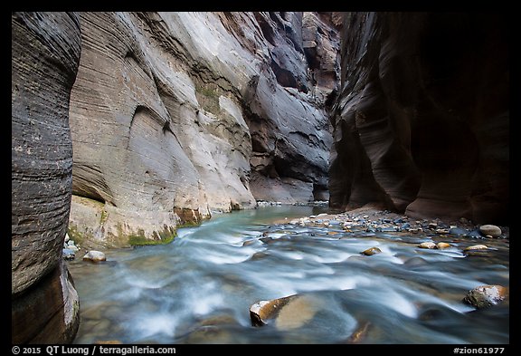 Virgin River flows over boulders under soaring walls of the Narrows. Zion National Park (color)