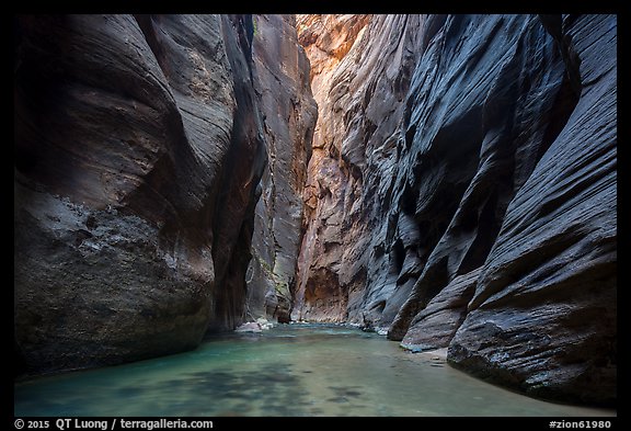 Soaring dark walls, the Narrows. Zion National Park (color)