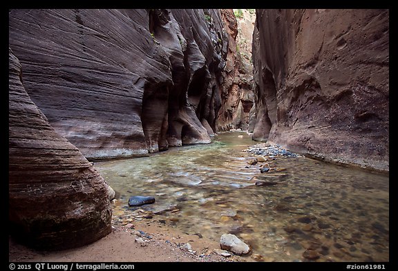 The Narrows at the Orderville confluence. Zion National Park (color)