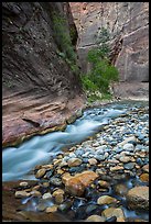 Colorful boulders and narrow channel of the Virgin River. Zion National Park ( color)