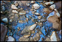 Rocks and oils. Zion National Park ( color)