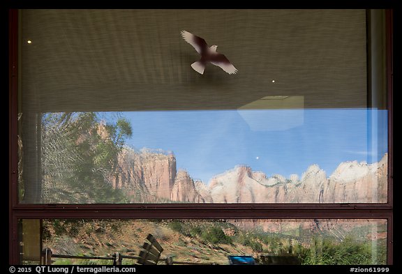 Towers of the Virgin, Zion Museum window reflexion. Zion National Park, Utah, USA.