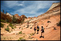 Hikers on slickrock. Zion National Park ( color)