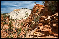 Slickrock landscape, East Zion. Zion National Park ( color)