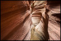 Slot Canyon, Keyhole Canyon. Zion National Park ( color)