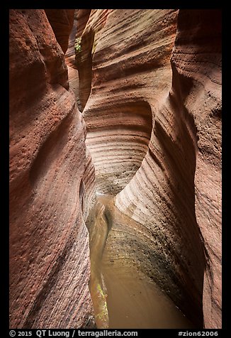 Water-scuptured walls of Keyhole Canyon. Zion National Park (color)