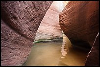 Water in the narrows of Keyhole Canyon. Zion National Park ( color)
