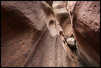 Chockstone and narrows, Keyhole Canyon. Zion National Park ( color)