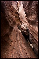 Stone wedged in slot canyon, Keyhole Canyon. Zion National Park ( color)