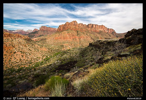 North Fork. Zion National Park (color)