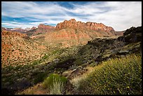 North Fork. Zion National Park ( color)