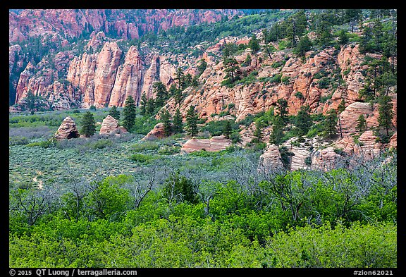 Hop Valley. Zion National Park (color)