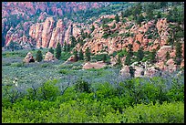 Hop Valley. Zion National Park ( color)