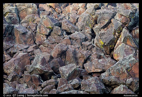 Volcanic rocks, Lava Point. Zion National Park, Utah, USA.