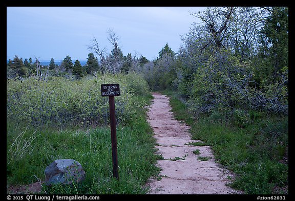 West Rim Trail into Zion Wilderness. Zion National Park (color)