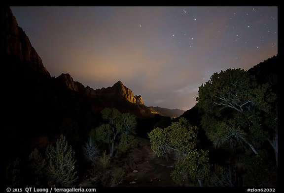 Trees and Watchman at night. Zion National Park, Utah, USA.