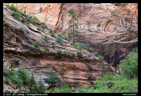 Echo Canyon. Zion National Park (color)