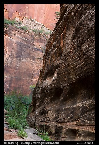 Echo Canyon and smooth face of Cable Mountain. Zion National Park (color)