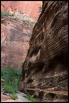 Echo Canyon and smooth face of Cable Mountain. Zion National Park ( color)