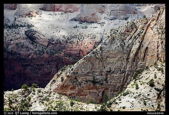 Dappled light on White Cliffs. Zion National Park (color)