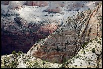 Dappled light on White Cliffs. Zion National Park ( color)