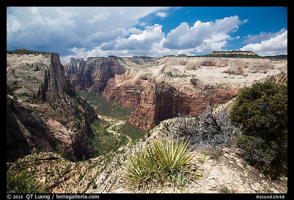 Zion Canyon from East Rim. Zion National Park (color)