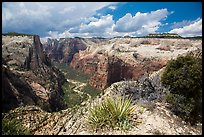 Zion Canyon from East Rim. Zion National Park ( color)