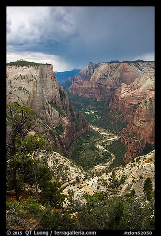 Zion Canyon from above under storm light. Zion National Park (color)