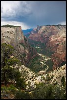 Zion Canyon from above under storm light. Zion National Park ( color)
