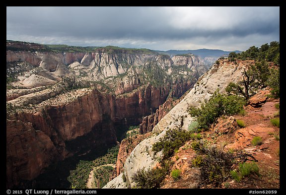 North Zion Canyon from above, Observation Point. Zion National Park (color)