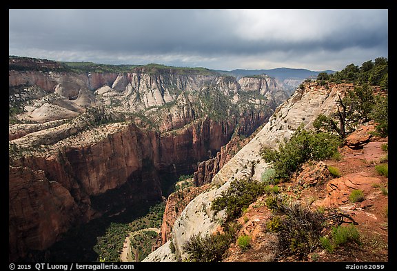 North Zion Canyon from above, Observation Point. Zion National Park, Utah, USA.