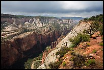 North Zion Canyon from above, Observation Point. Zion National Park ( color)