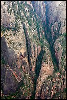 Distant view of Hidden Canyon with trail. Zion National Park ( color)