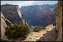 Hikers on East Rim trail. Zion National Park ( color)