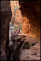 Trail cut into Echo Canyon. Zion National Park ( color)