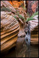 Scuptured canyon and reflections, Echo Canyon. Zion National Park ( color)