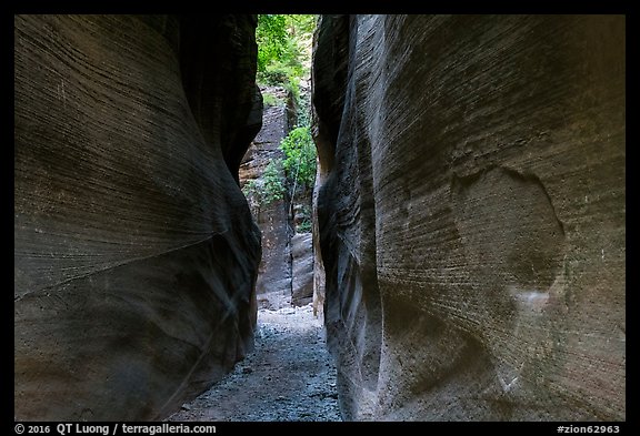 Tight passage, Orderville Canyon. Zion National Park (color)