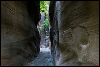 Tight passage, Orderville Canyon. Zion National Park ( color)