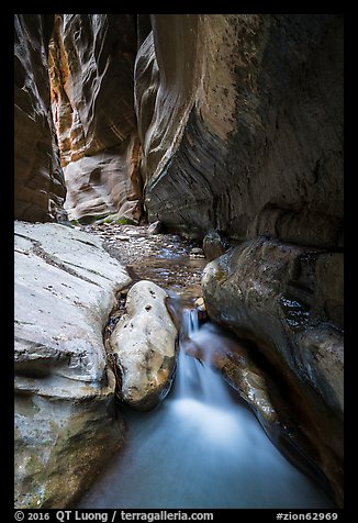 Stream, Orderville Canyon. Zion National Park (color)