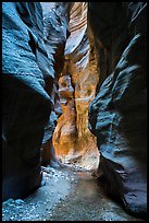 Glowing wall, Orderville Canyon. Zion National Park ( color)