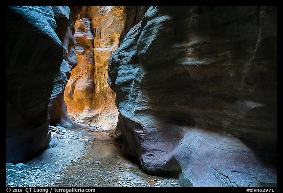 Stream and glowing wall, Orderville Canyon. Zion National Park (color)