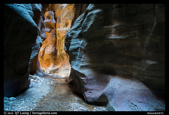 Stream and glowing wall, Orderville Canyon. Zion National Park (color)