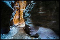 Stream and glowing wall, Orderville Canyon. Zion National Park ( color)
