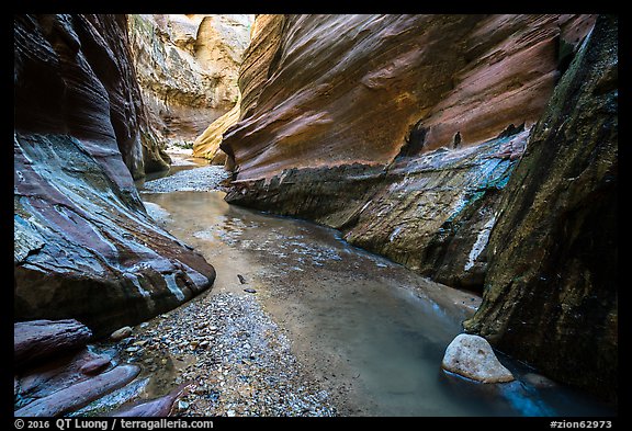 Stream flowing, Orderville Canyon. Zion National Park (color)