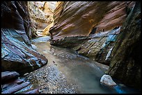 Stream flowing, Orderville Canyon. Zion National Park ( color)